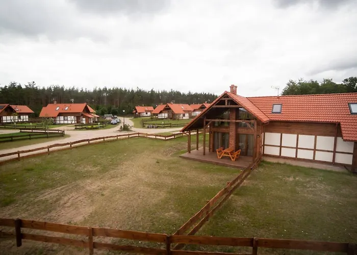 Zloty Caloroczny Klos * Borowy Młyn